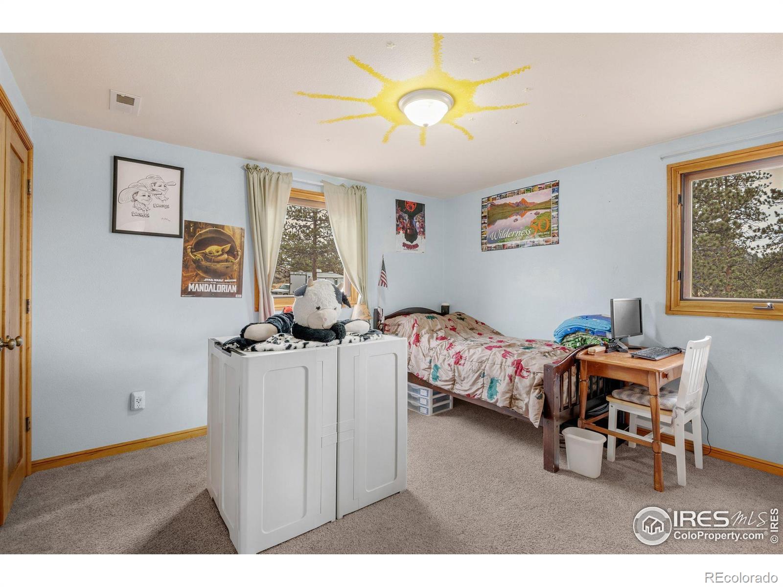 MLS Image #22 for 119  turtle rock court,livermore, Colorado