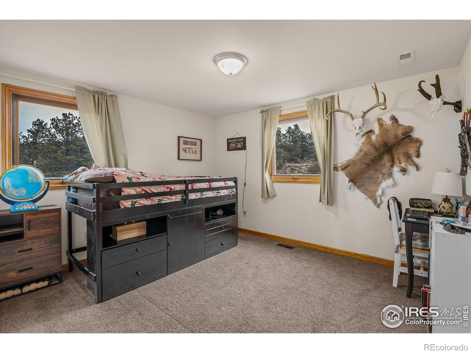 MLS Image #23 for 119  turtle rock court,livermore, Colorado