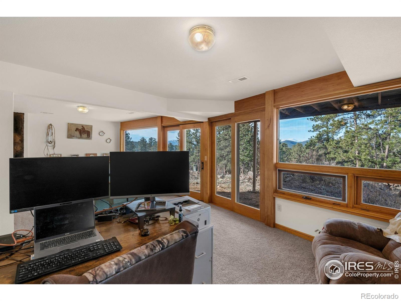 MLS Image #24 for 119  turtle rock court,livermore, Colorado