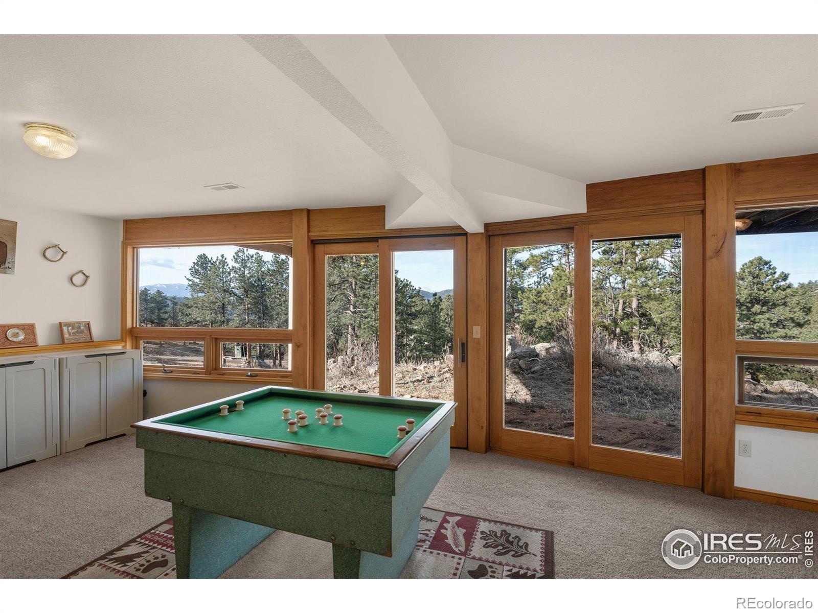 MLS Image #26 for 119  turtle rock court,livermore, Colorado