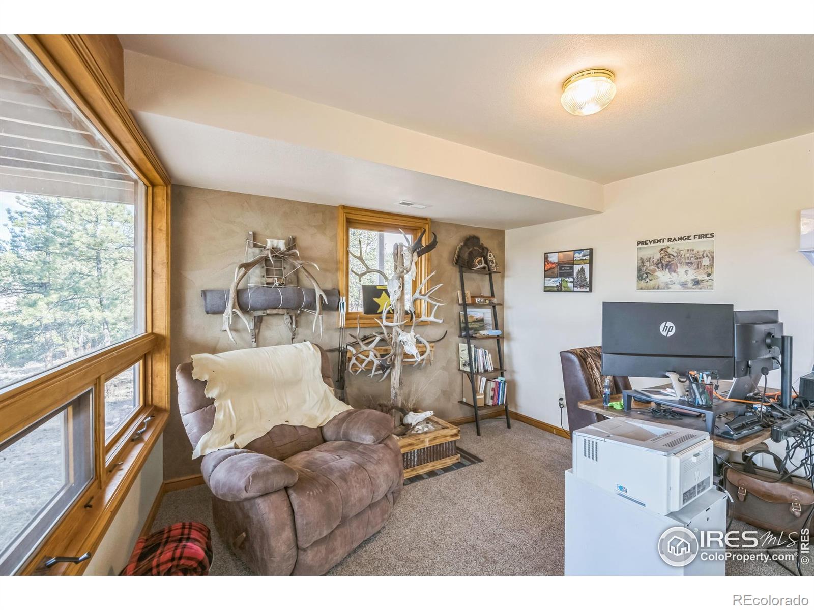 MLS Image #27 for 119  turtle rock court,livermore, Colorado