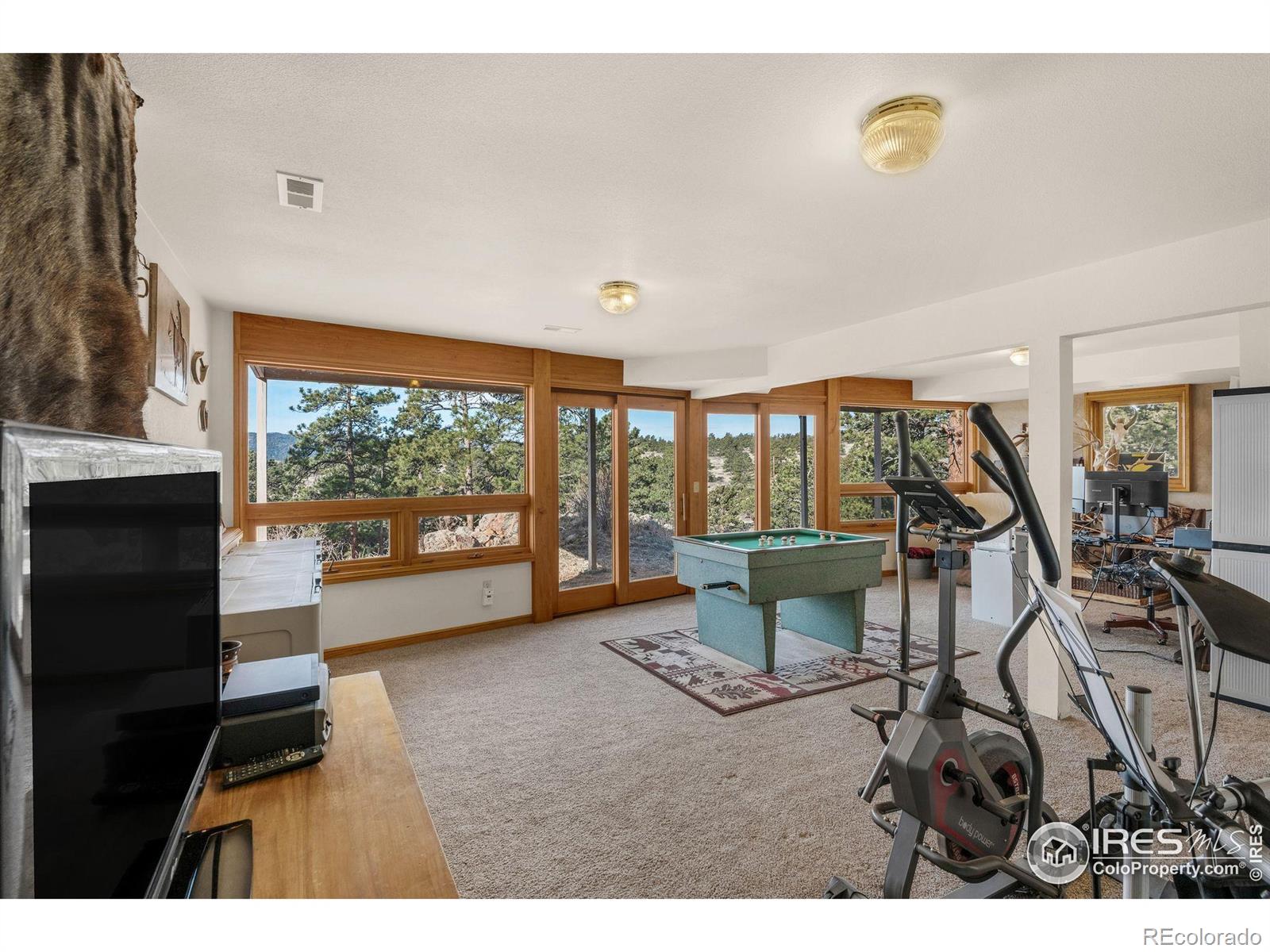 MLS Image #28 for 119  turtle rock court,livermore, Colorado