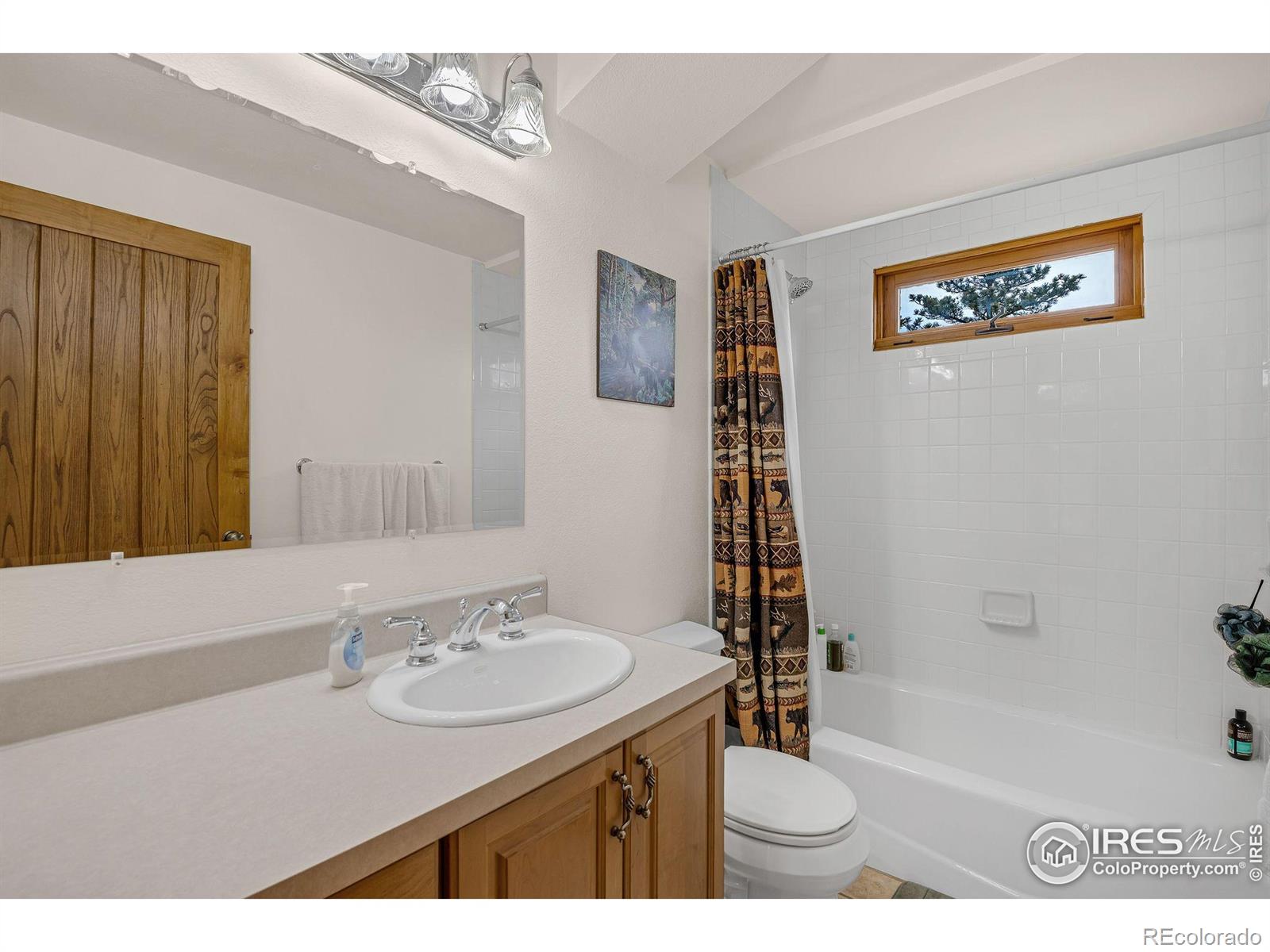 MLS Image #32 for 119  turtle rock court,livermore, Colorado
