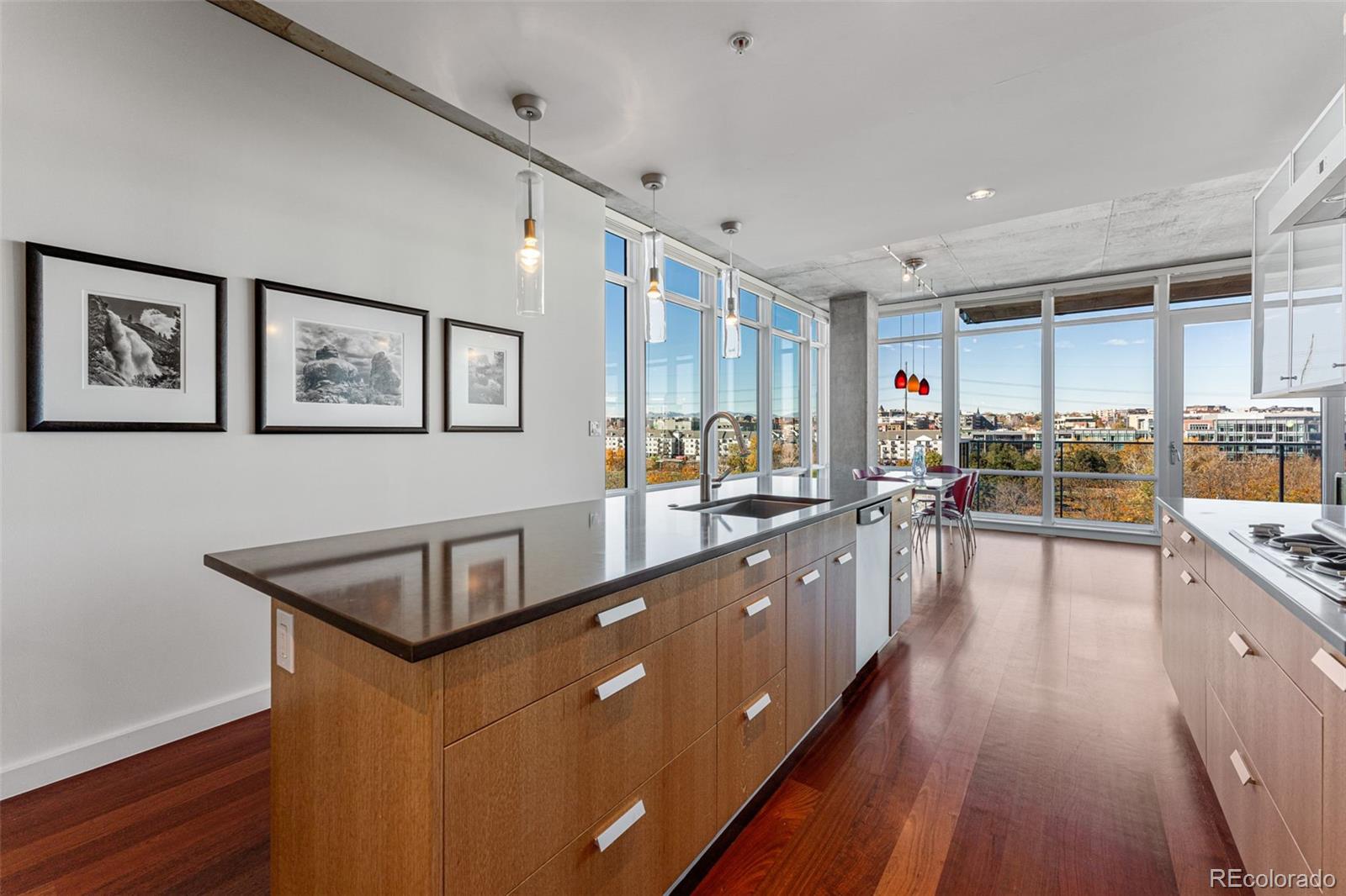 MLS Image #11 for 1620  little raven street,denver, Colorado