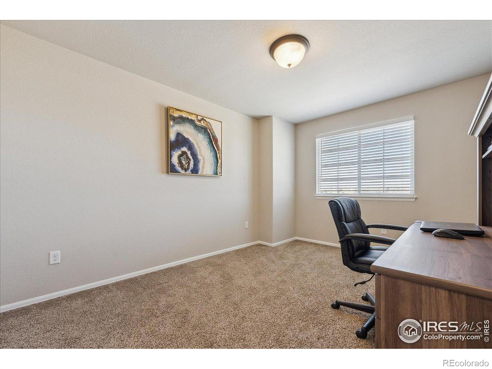 MLS Image #25 for 623  gore range drive,severance, Colorado