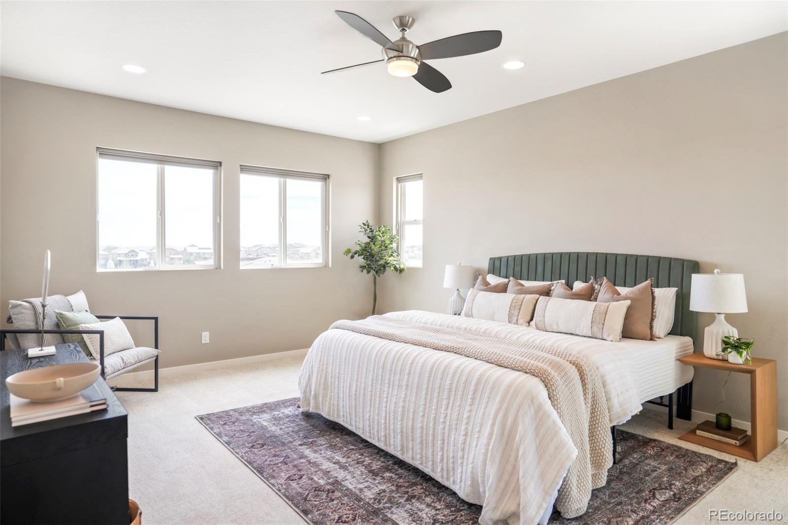 MLS Image #24 for 11100  pastel point,parker, Colorado