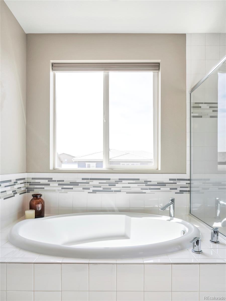 MLS Image #28 for 11100  pastel point,parker, Colorado