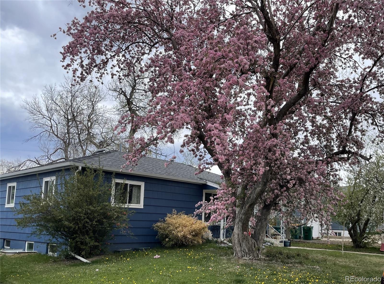 MLS Image #23 for 4040  ames street,wheat ridge, Colorado