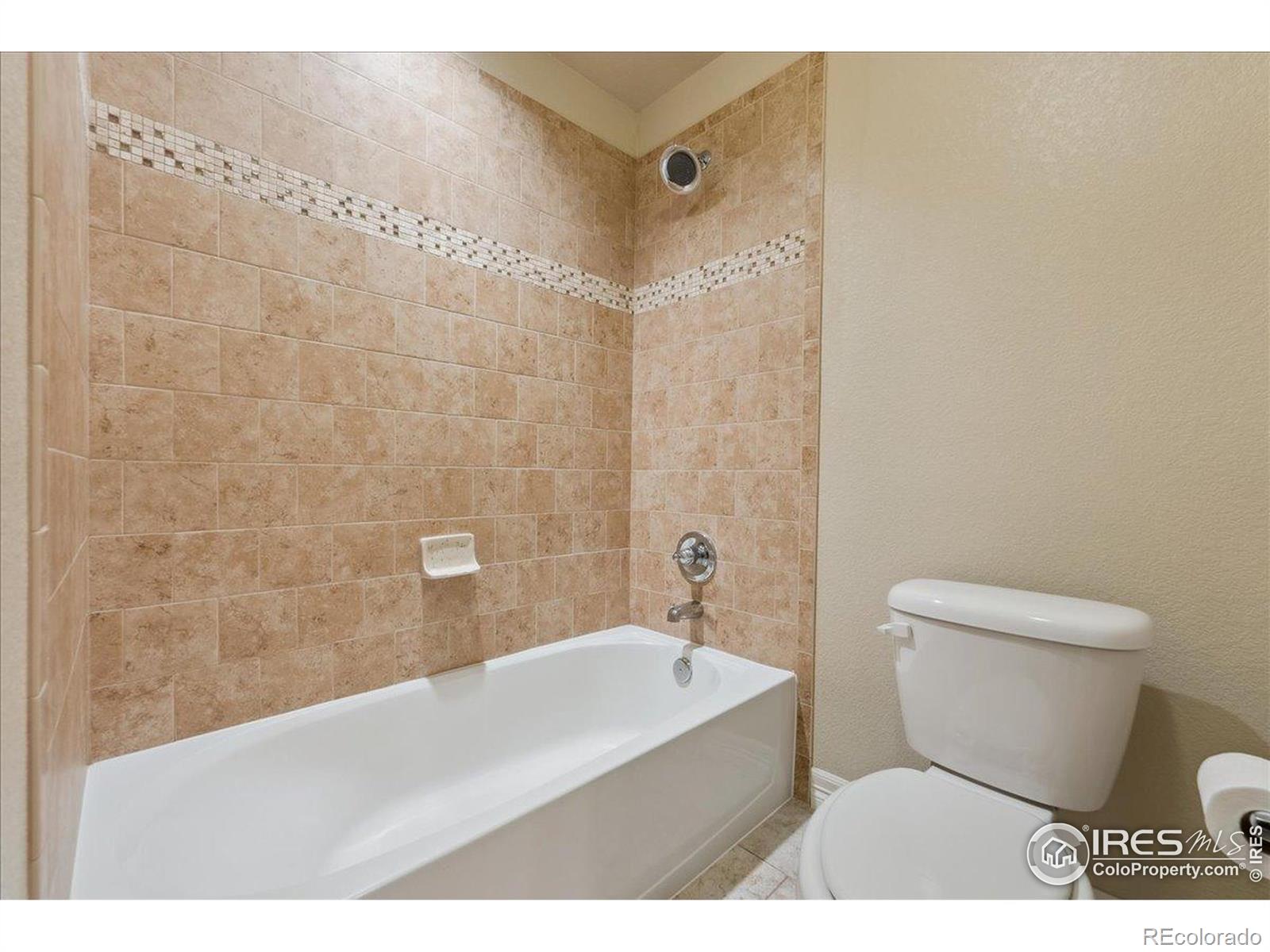 MLS Image #31 for 1688  eden valley lane,severance, Colorado