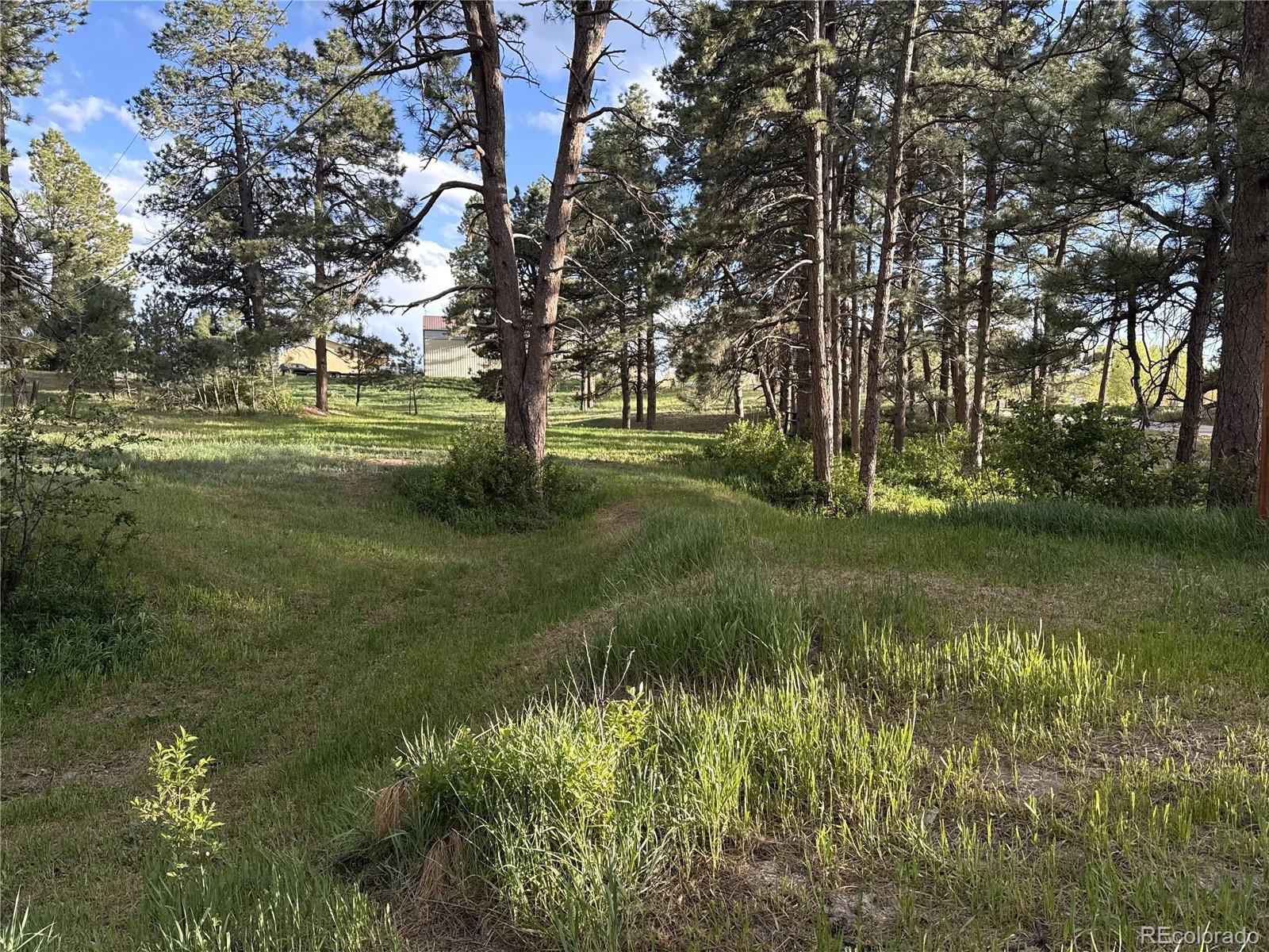 MLS Image #20 for 34480  county road 17 ,elizabeth, Colorado