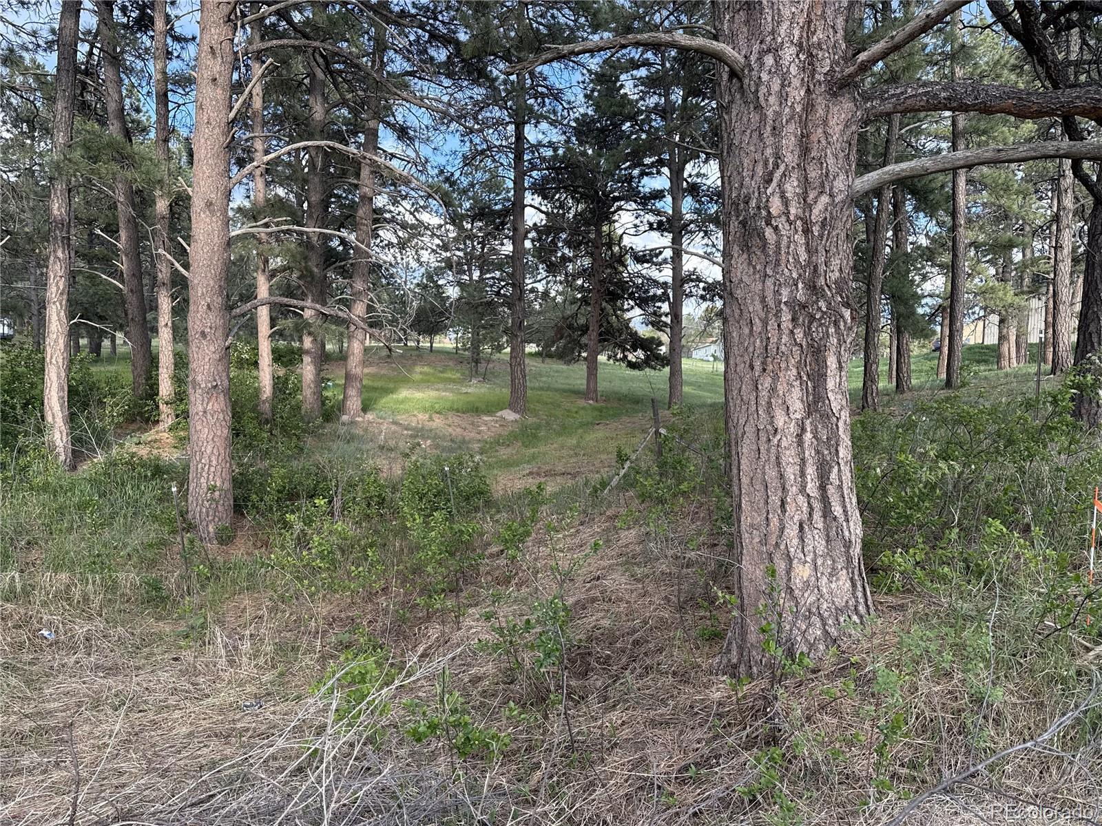 MLS Image #21 for 34480  county road 17 ,elizabeth, Colorado