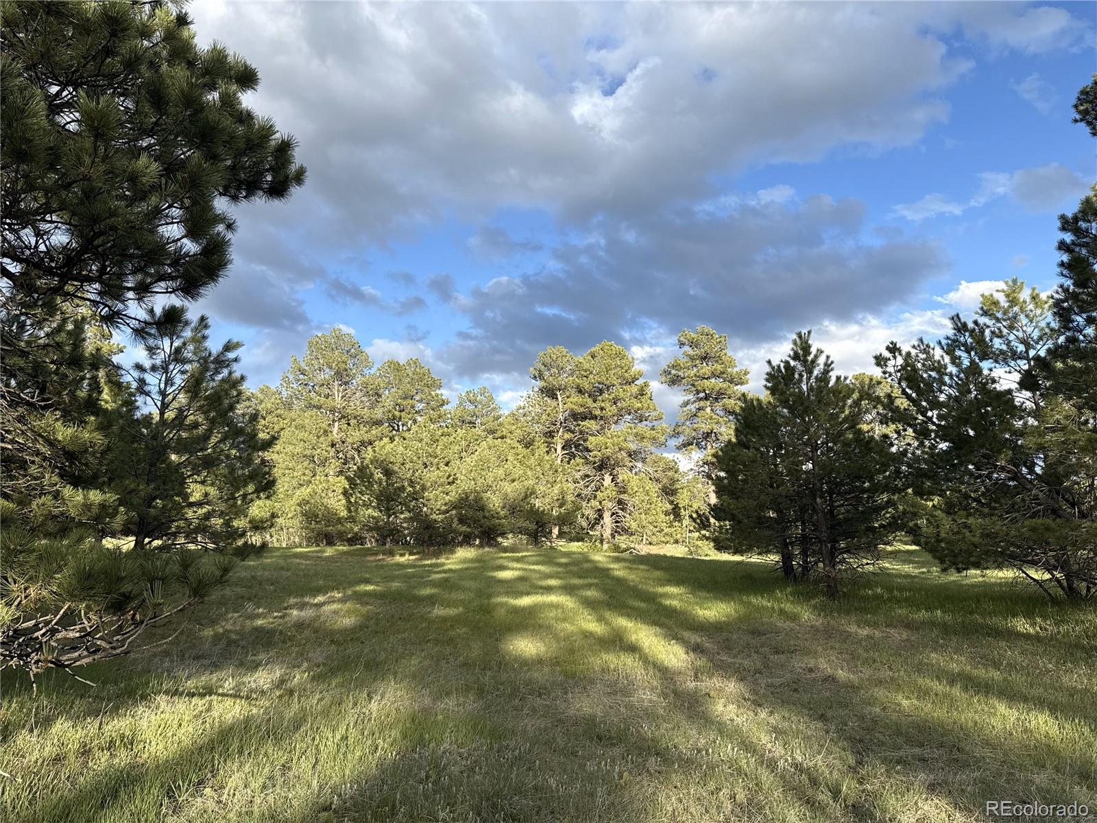 MLS Image #47 for 34480  county road 17 ,elizabeth, Colorado