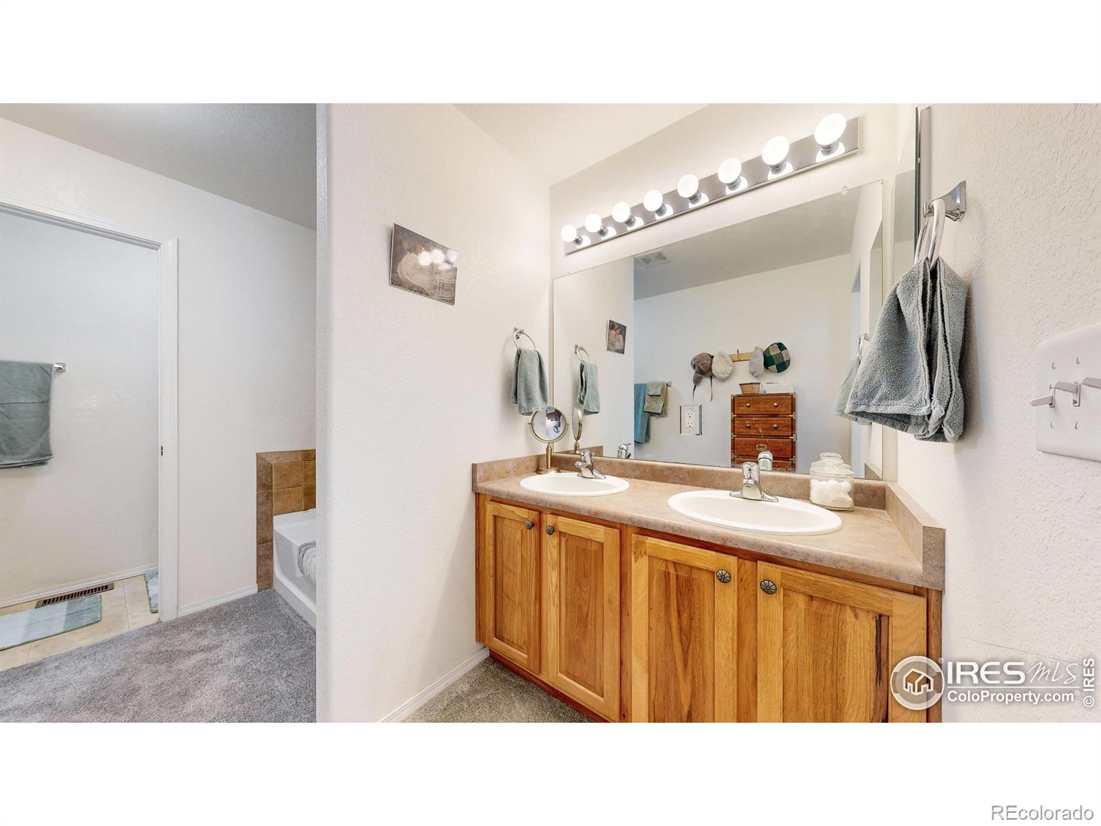 MLS Image #11 for 4058  don fox circle,loveland, Colorado