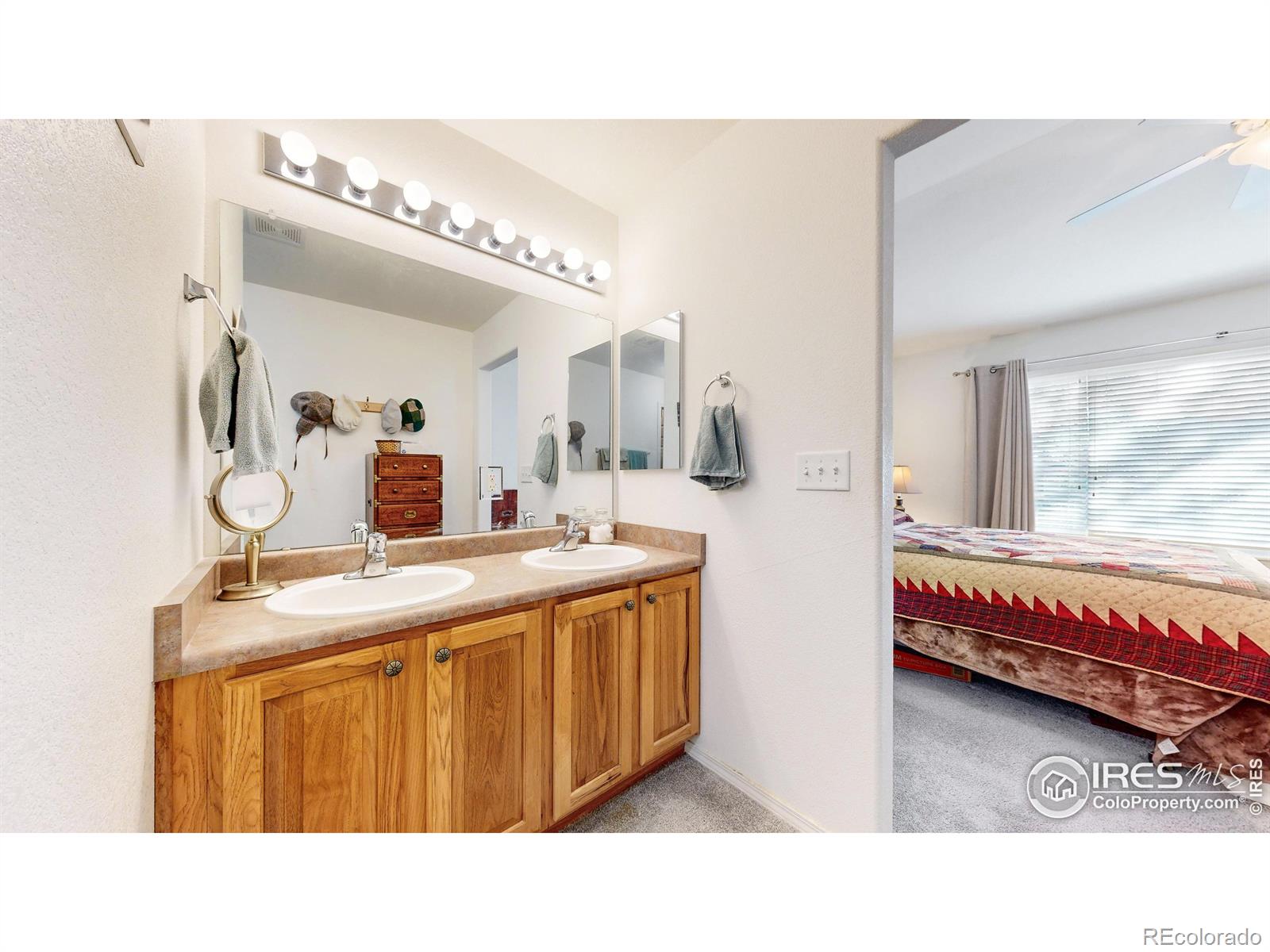 MLS Image #12 for 4058  don fox circle,loveland, Colorado