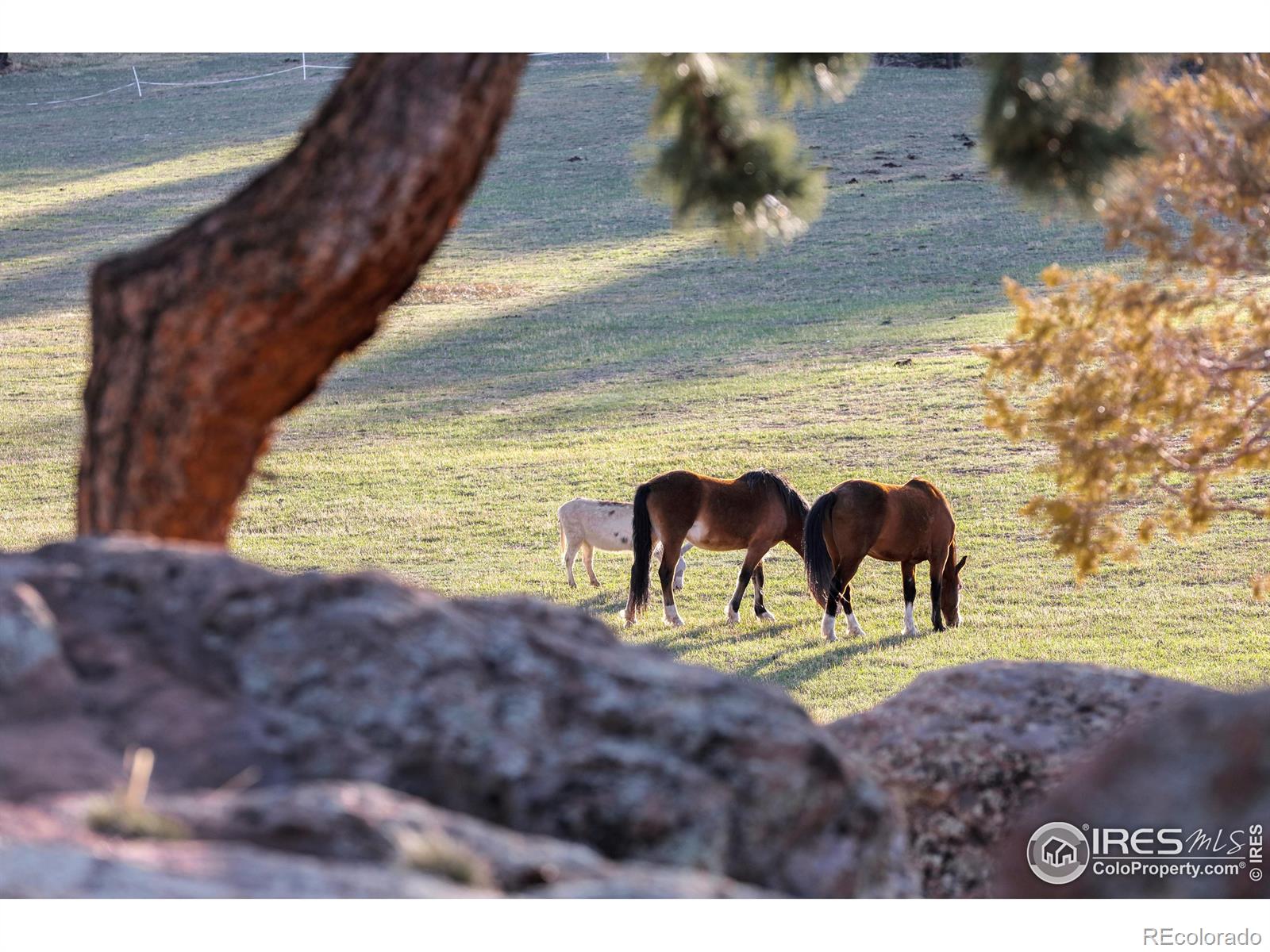 MLS Image #25 for 1740  spring gulch drive,lyons, Colorado