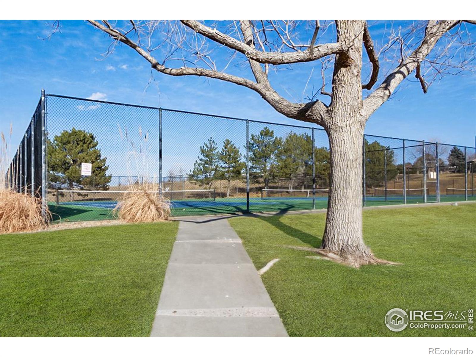 MLS Image #21 for 3342 w 114th place,westminster, Colorado