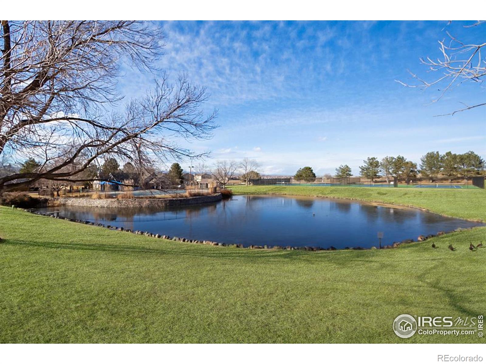 MLS Image #23 for 3342 w 114th place,westminster, Colorado