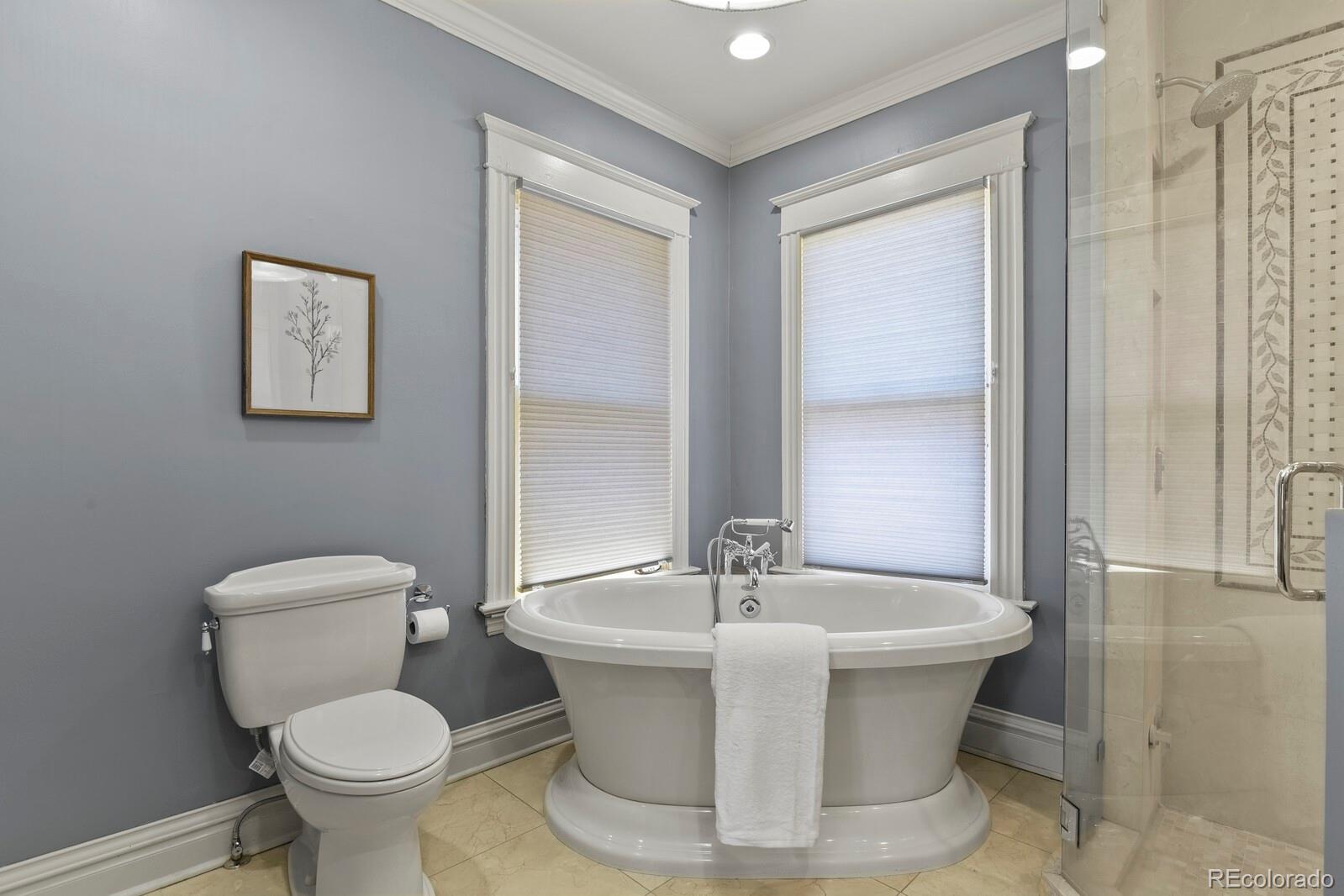 MLS Image #19 for 1229  saint paul street,denver, Colorado