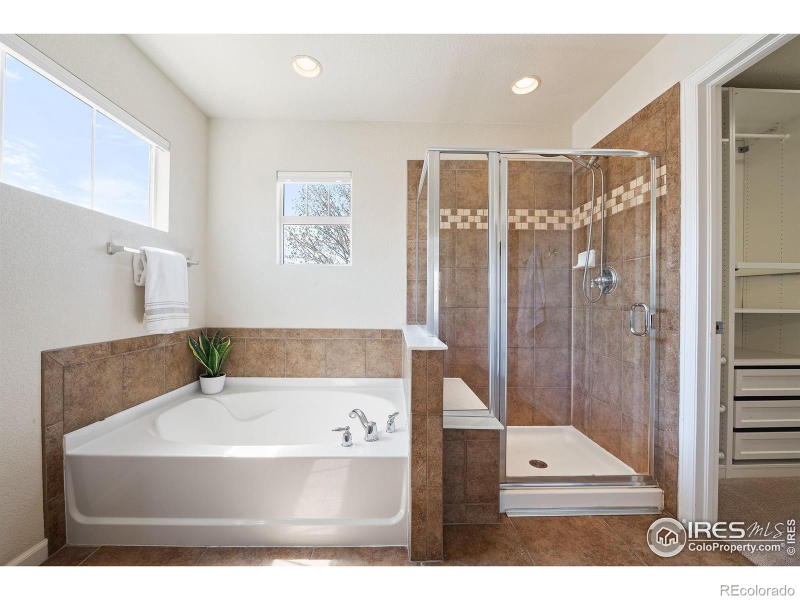 MLS Image #22 for 16518  red rock lane,broomfield, Colorado