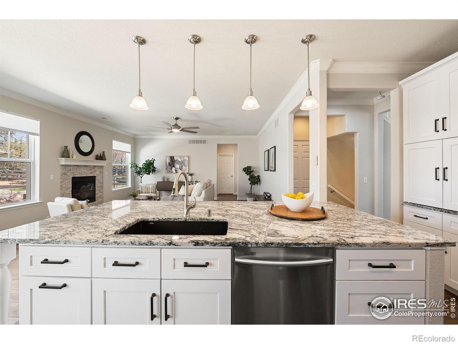 MLS Image #8 for 16518  red rock lane,broomfield, Colorado