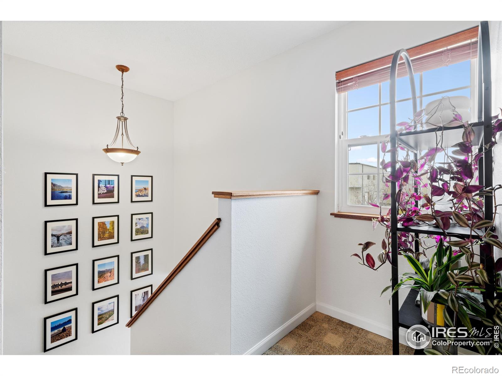 MLS Image #18 for 5807  18th street,greeley, Colorado