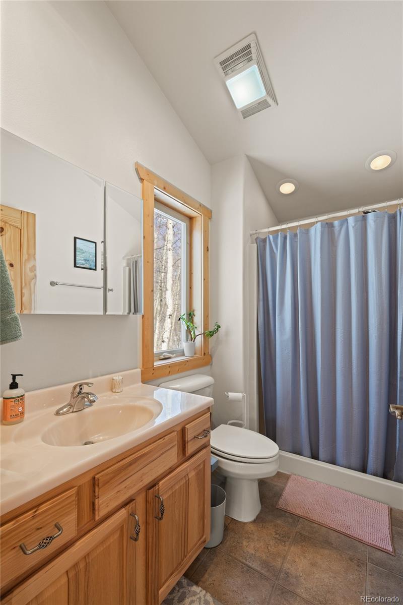MLS Image #19 for 1626  empire valley drive,leadville, Colorado