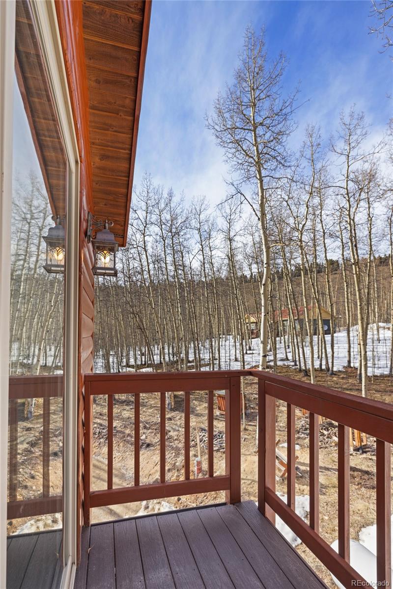 MLS Image #21 for 1626  empire valley drive,leadville, Colorado