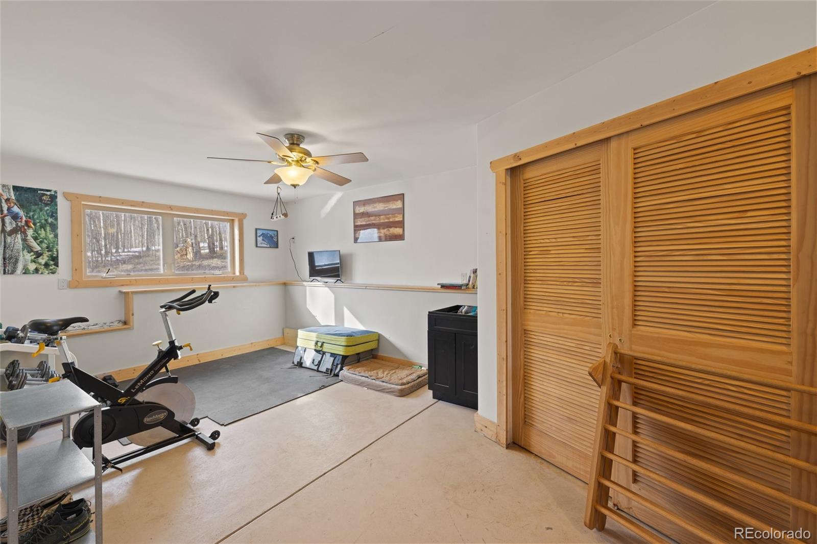 MLS Image #23 for 1626  empire valley drive,leadville, Colorado