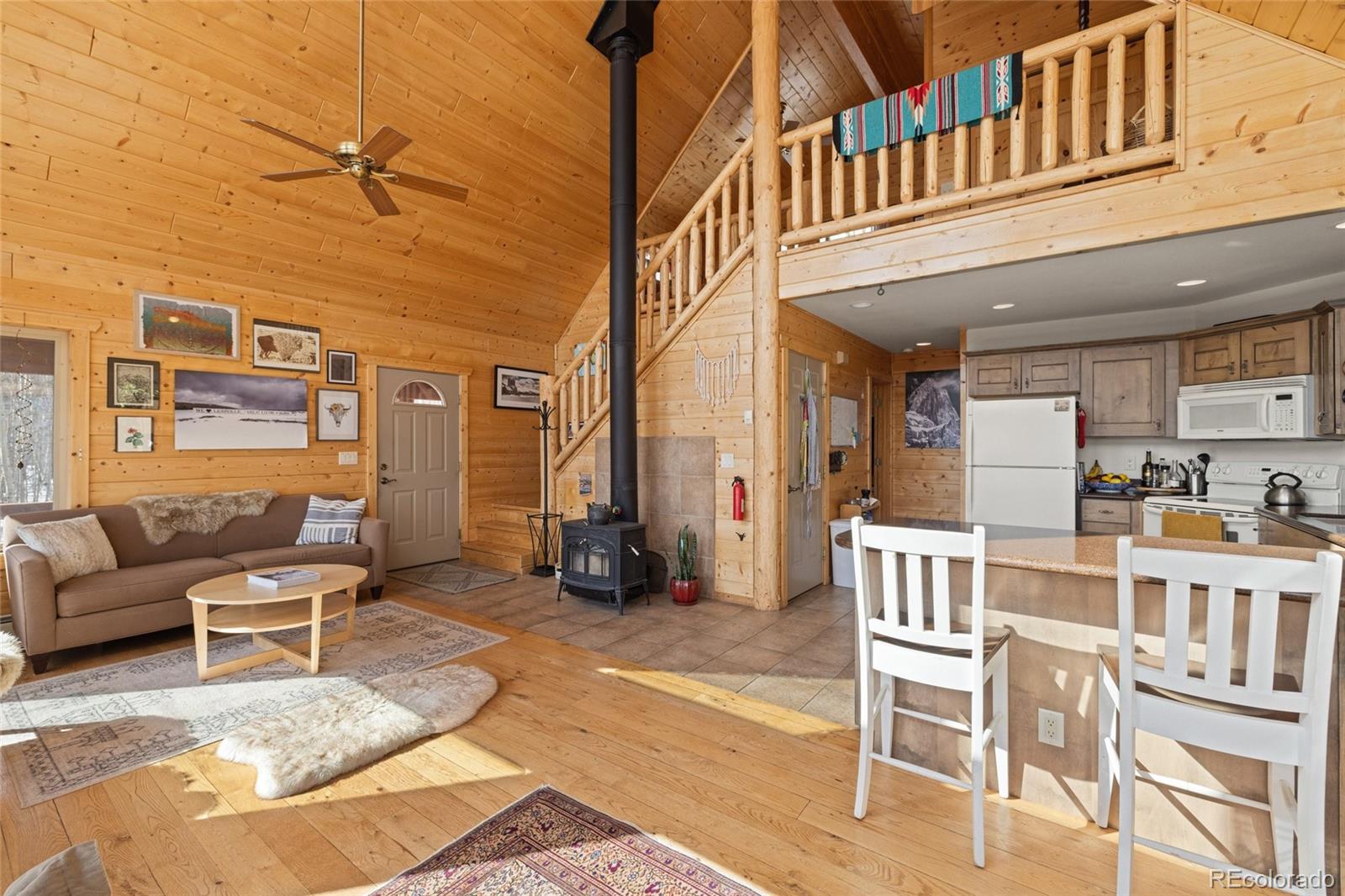 MLS Image #5 for 1626  empire valley drive,leadville, Colorado
