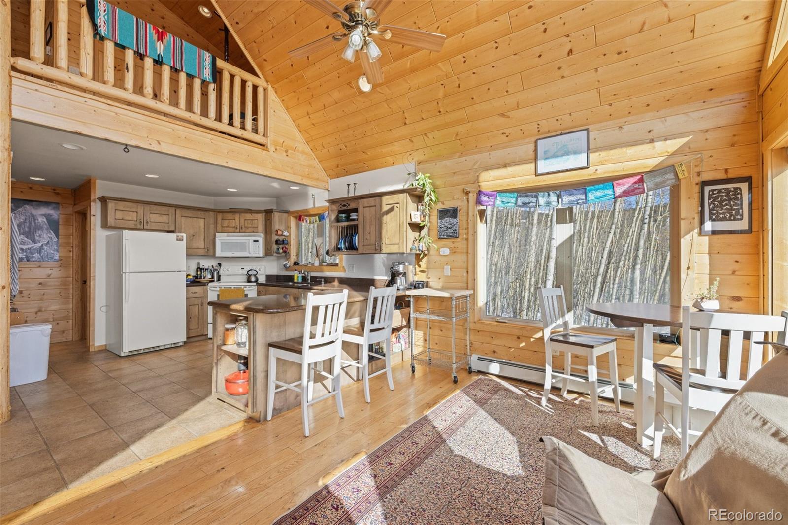 MLS Image #7 for 1626  empire valley drive,leadville, Colorado