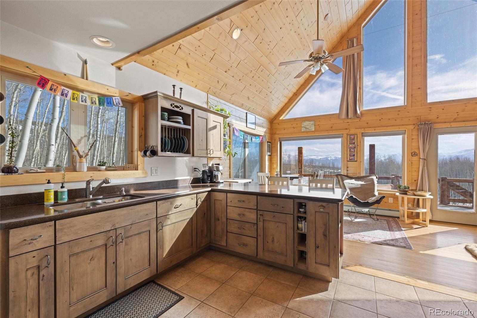 MLS Image #9 for 1626  empire valley drive,leadville, Colorado