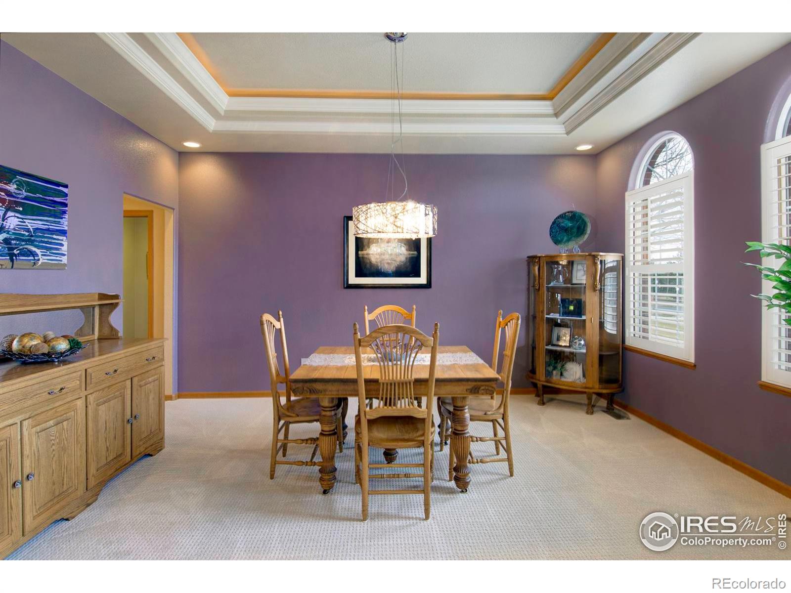 MLS Image #13 for 18399  wagon trail,mead, Colorado