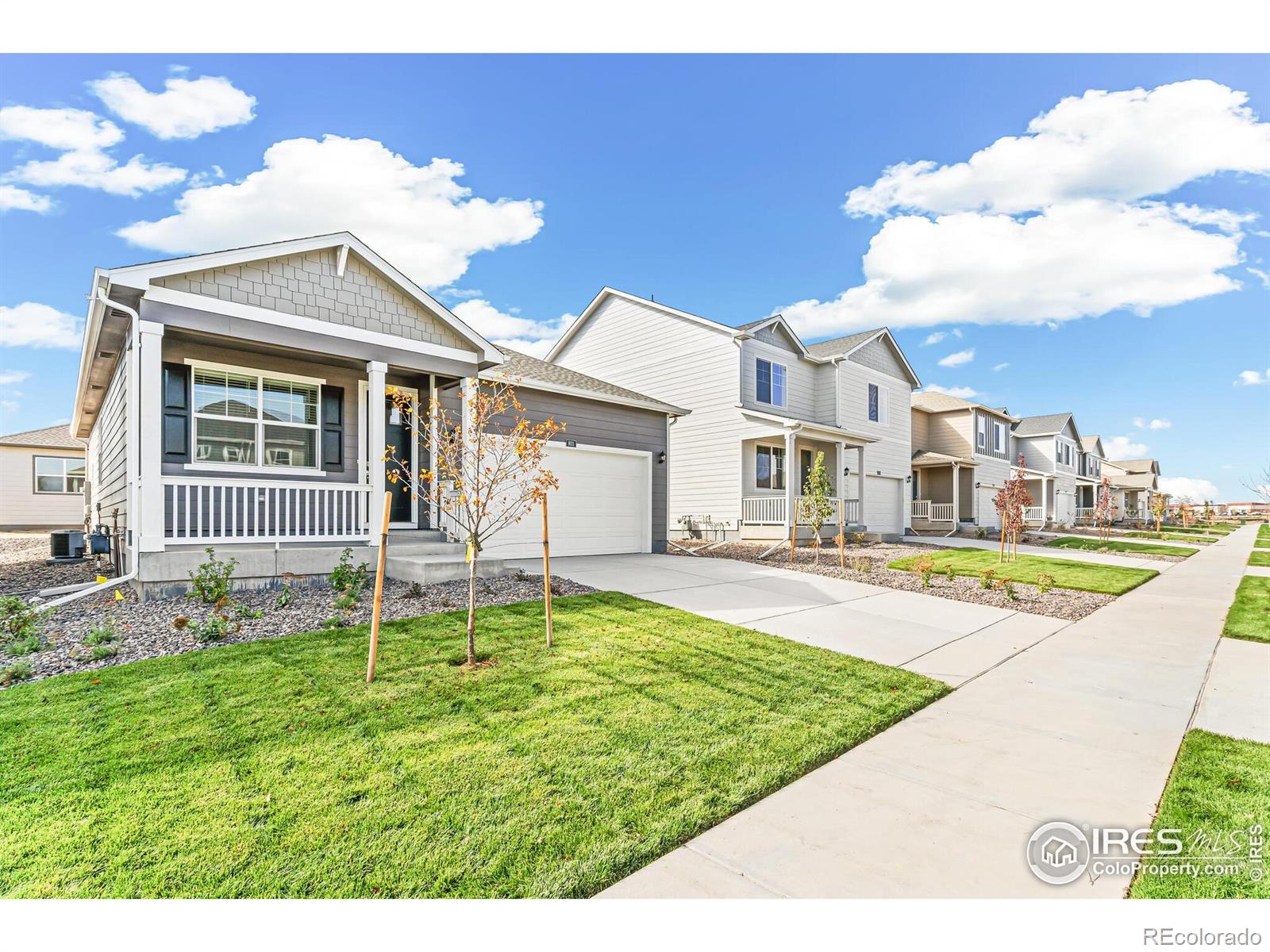 MLS Image #1 for 852  leeward street,lochbuie, Colorado