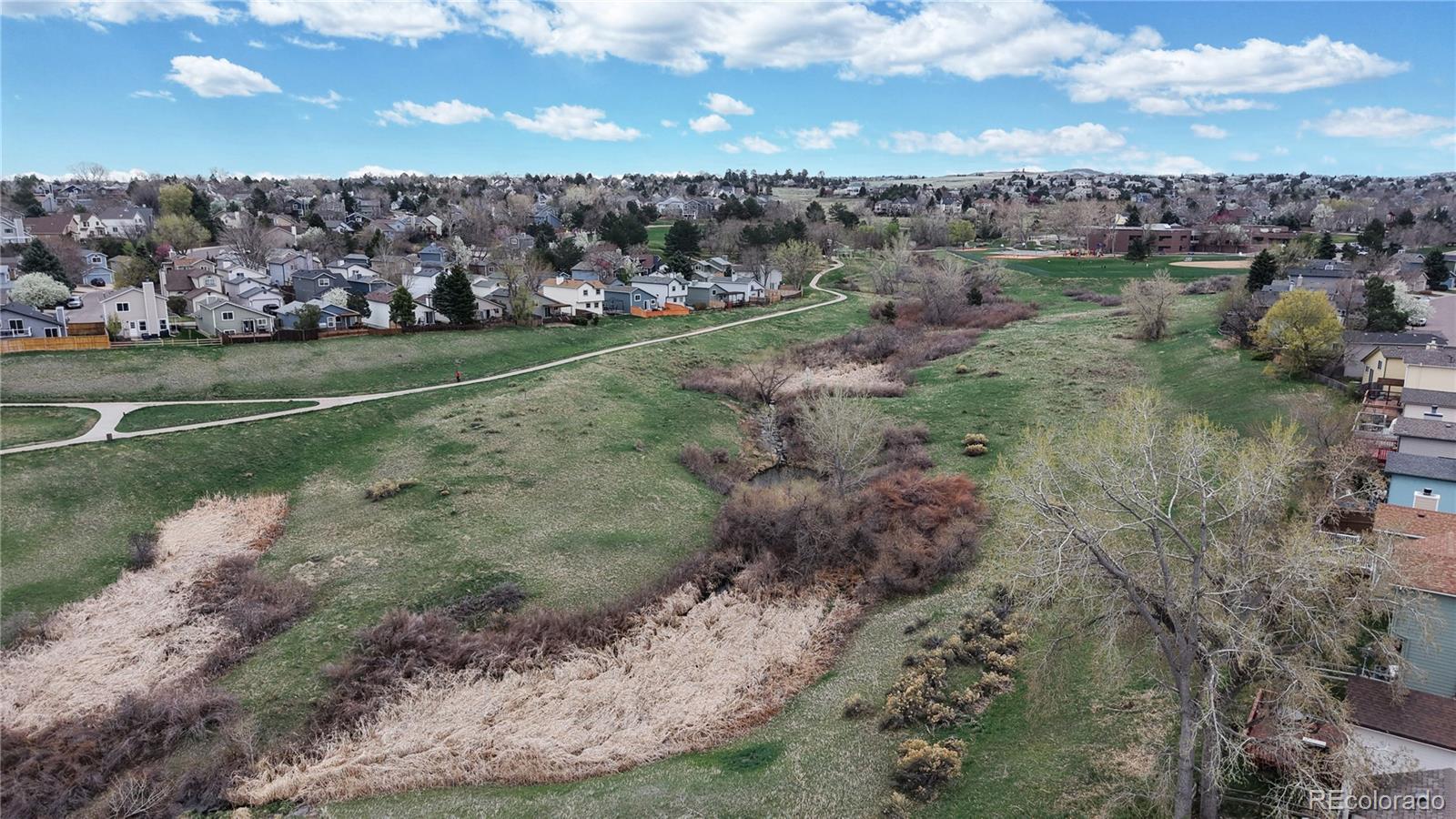 MLS Image #29 for 464  chiswick circle,highlands ranch, Colorado