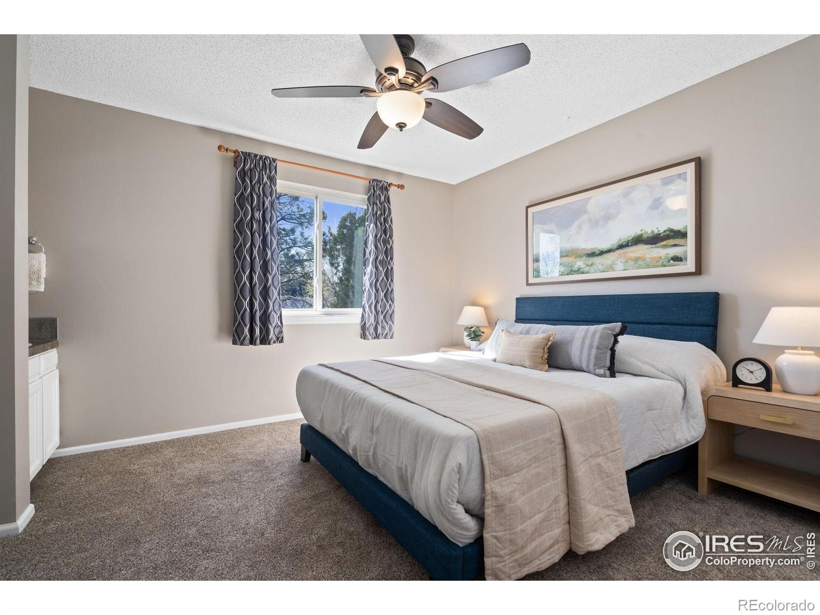 MLS Image #11 for 2019  tunis circle,fort collins, Colorado