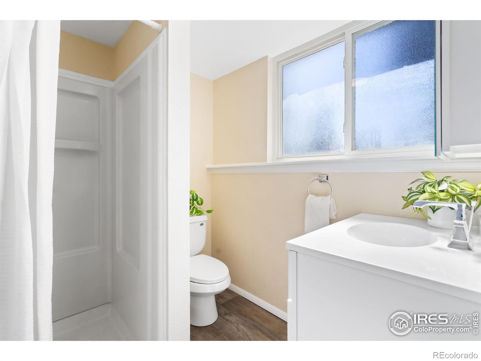 MLS Image #21 for 2019  tunis circle,fort collins, Colorado