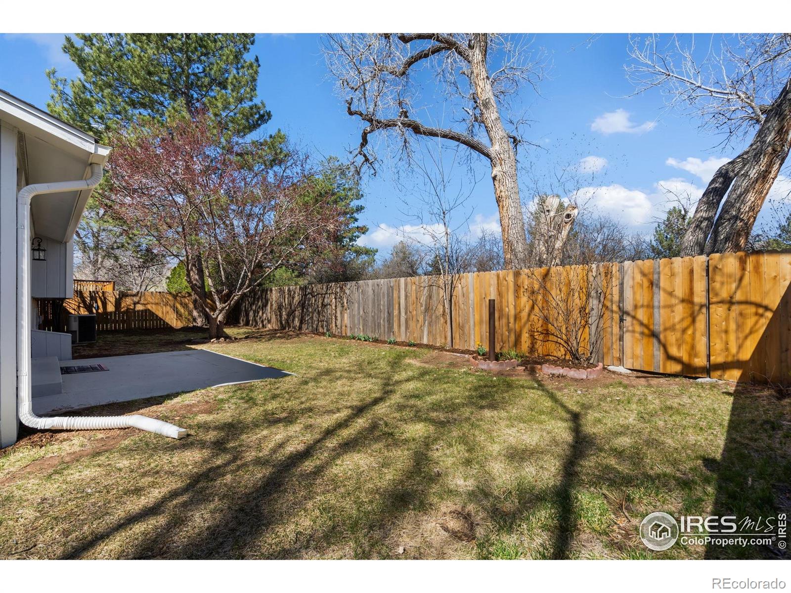 MLS Image #22 for 2019  tunis circle,fort collins, Colorado