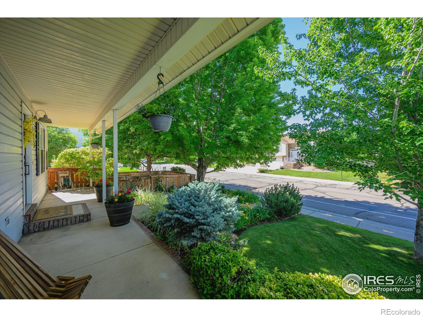 MLS Image #2 for 1472  walnut street,windsor, Colorado