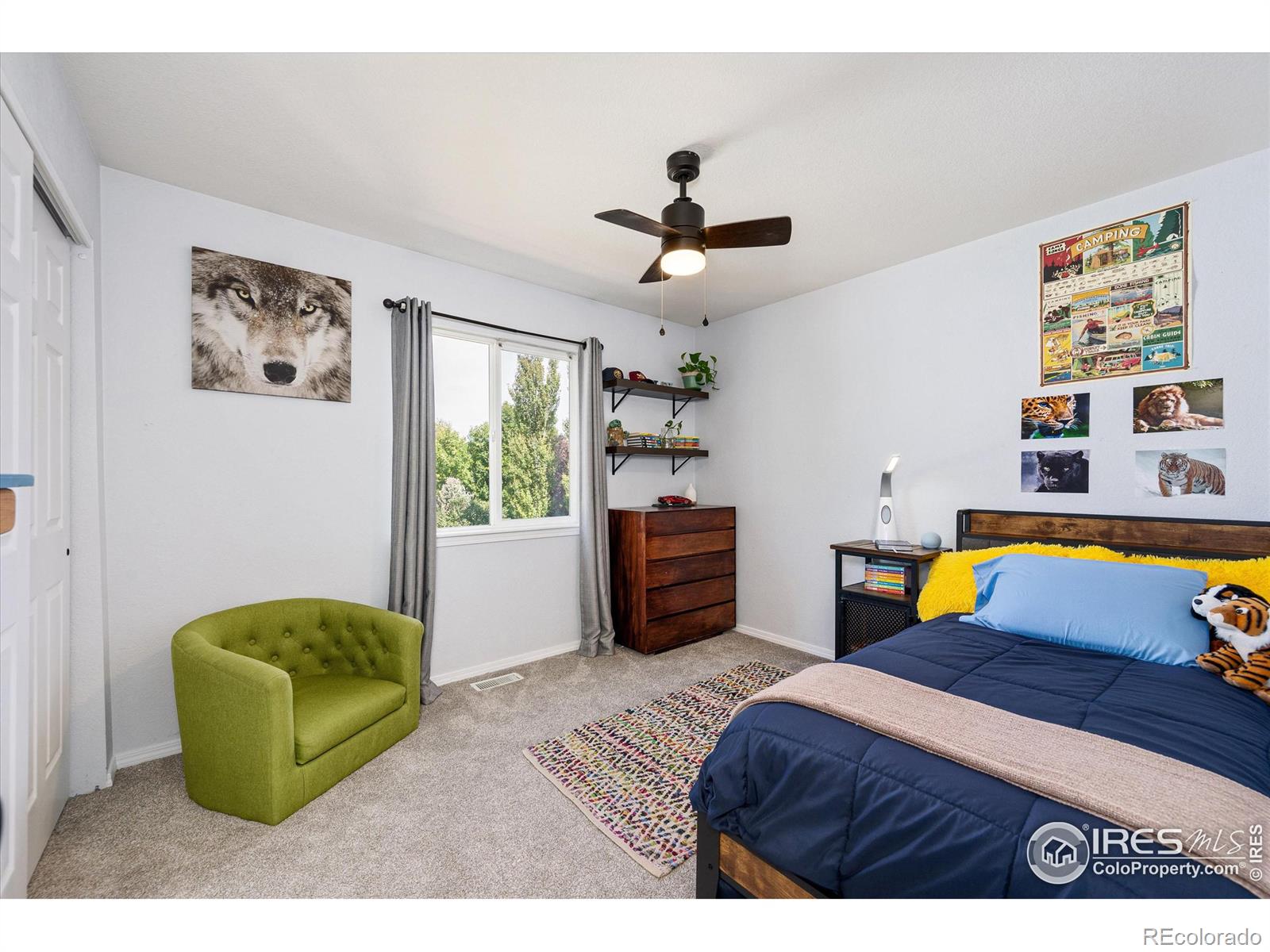 MLS Image #22 for 1472  walnut street,windsor, Colorado