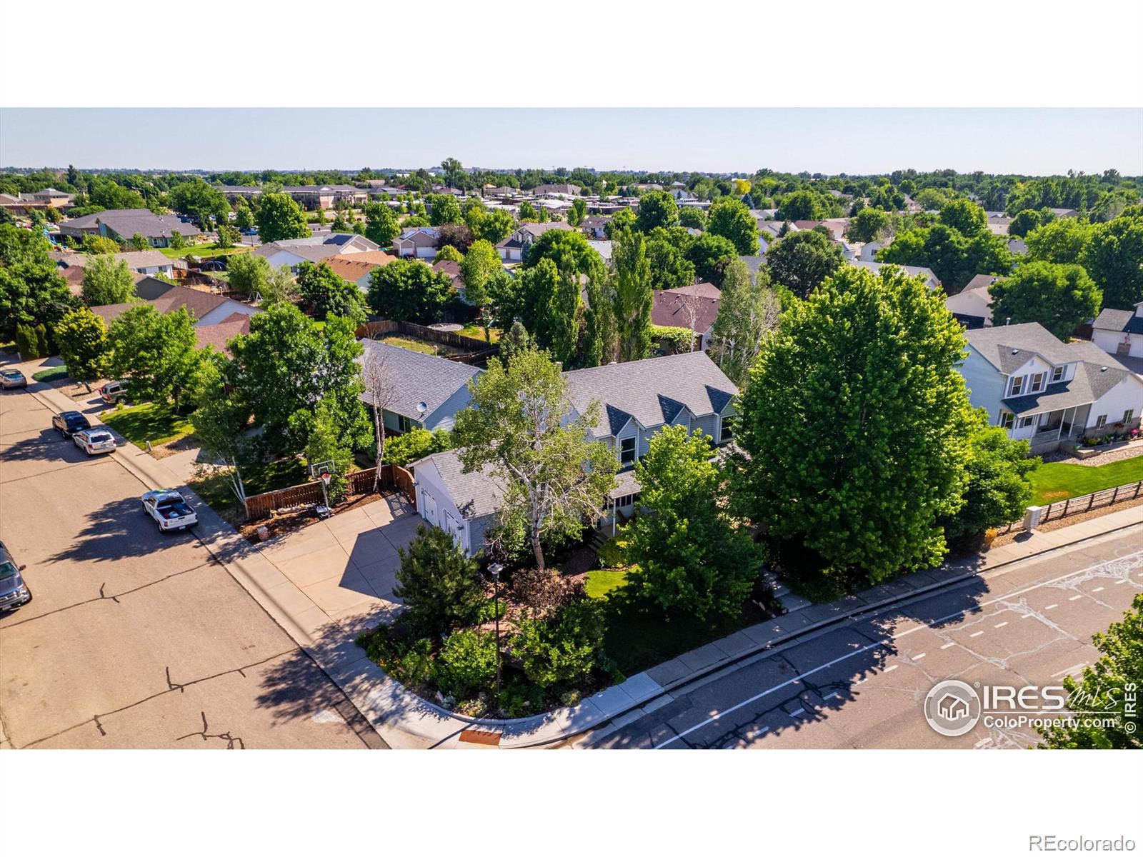 MLS Image #31 for 1472  walnut street,windsor, Colorado