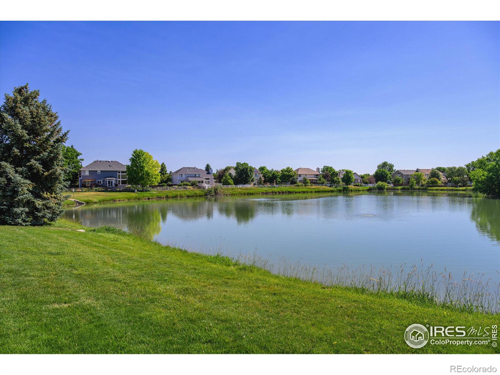 MLS Image #37 for 1472  walnut street,windsor, Colorado