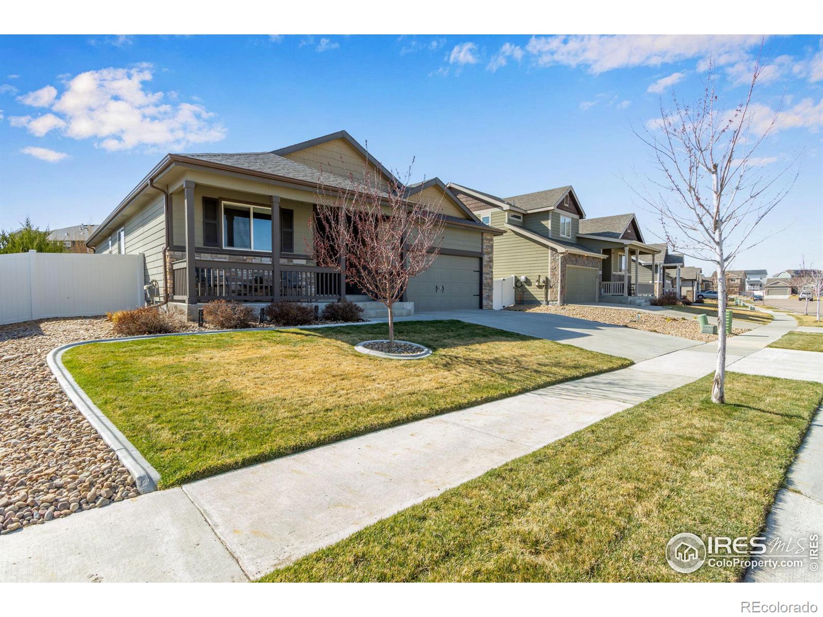 CMA Image for 906  mt shavano avenue,Severance, Colorado