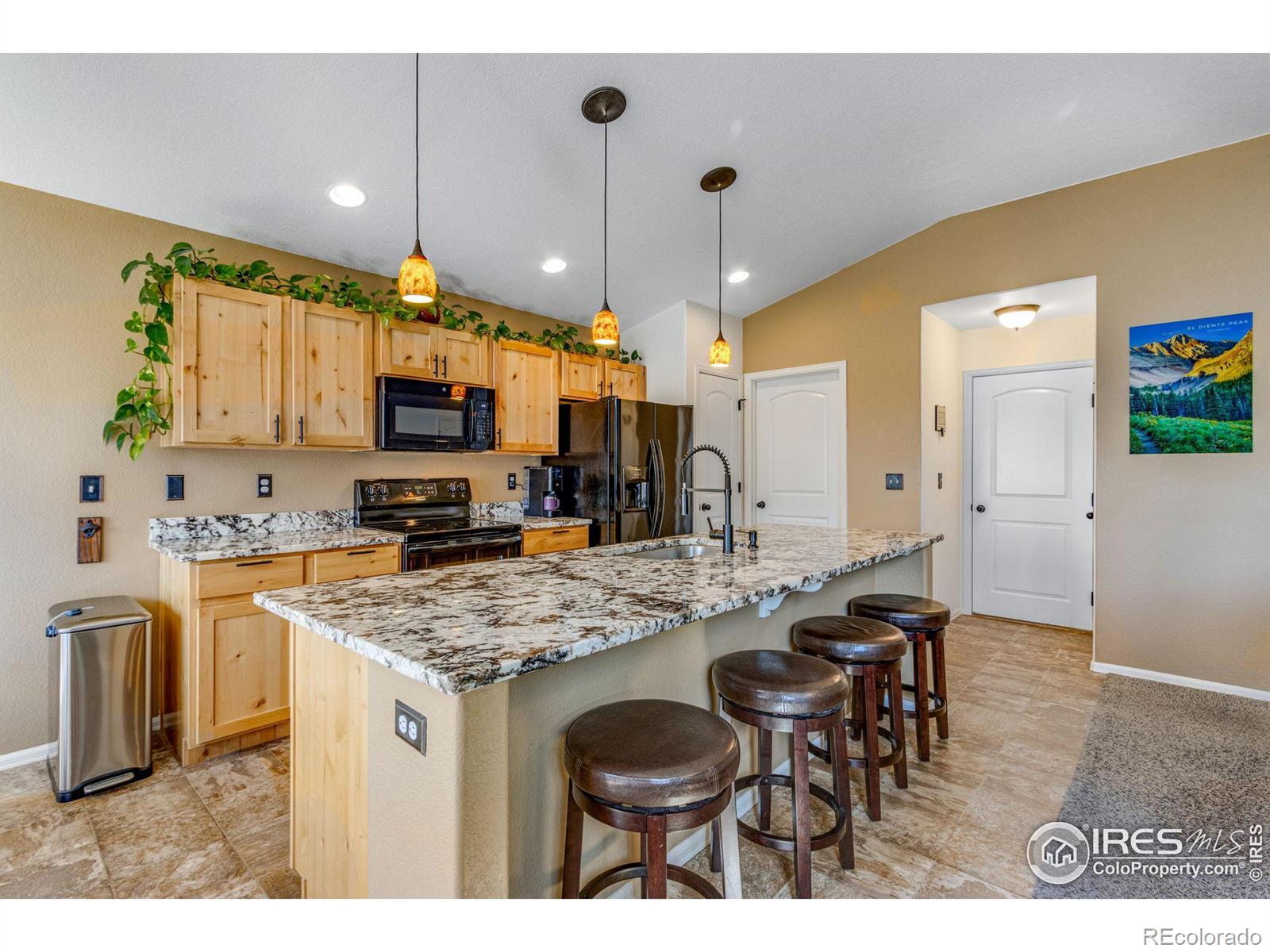 MLS Image #11 for 541  el diente avenue,severance, Colorado