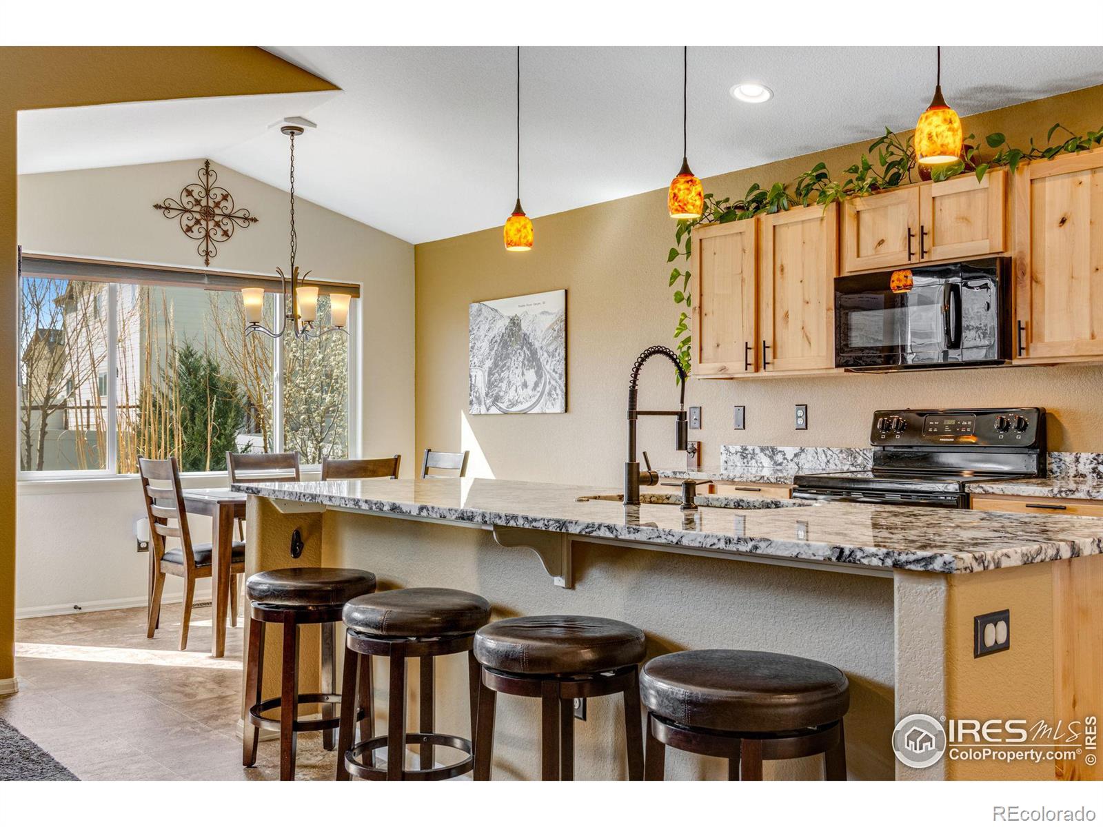 MLS Image #12 for 541  el diente avenue,severance, Colorado