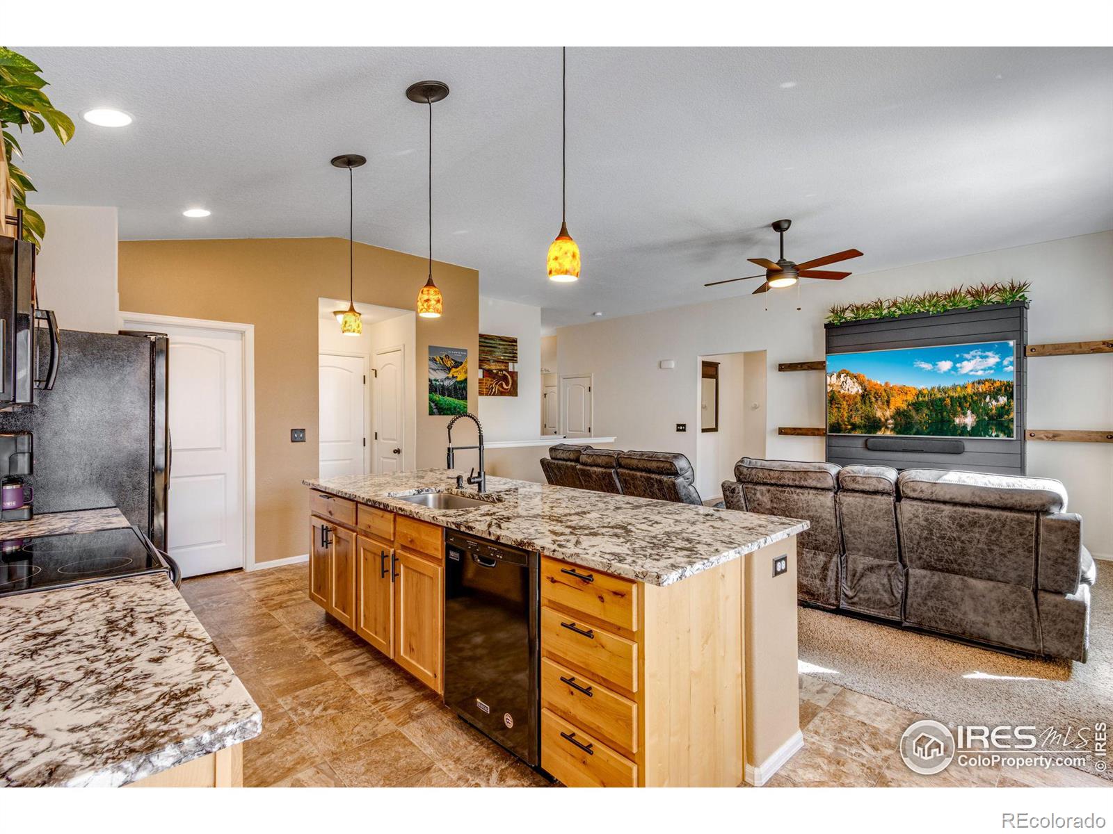 MLS Image #13 for 541  el diente avenue,severance, Colorado