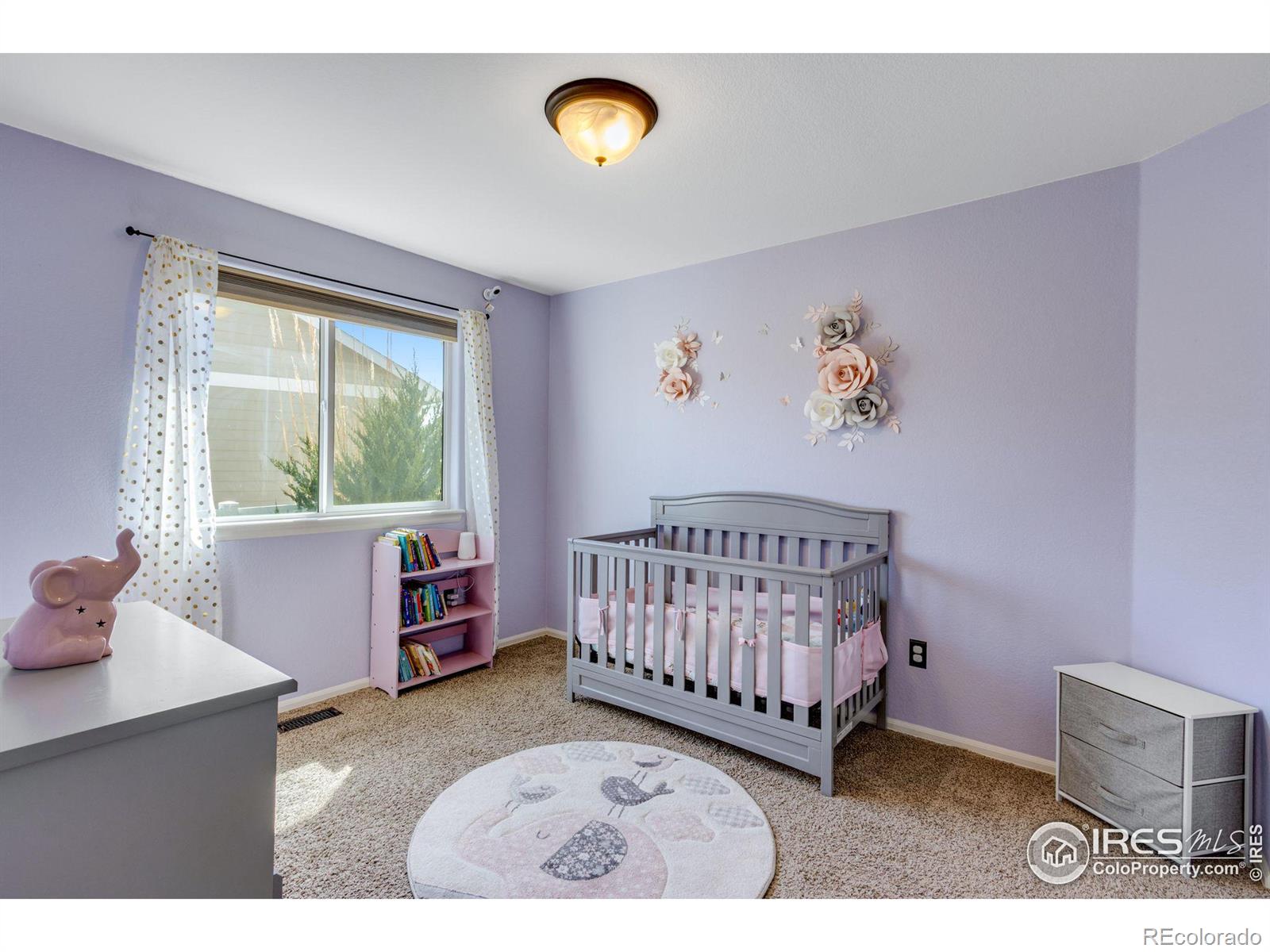 MLS Image #21 for 541  el diente avenue,severance, Colorado