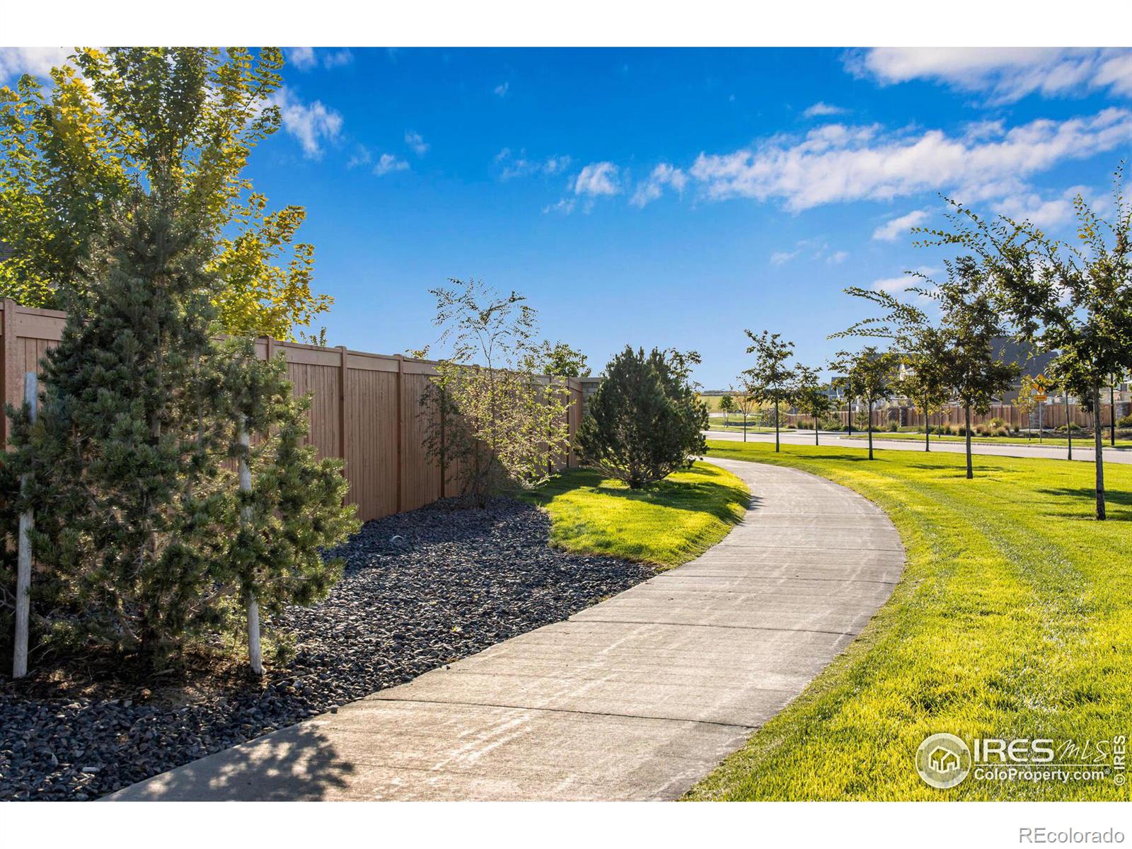 MLS Image #33 for 541  el diente avenue,severance, Colorado