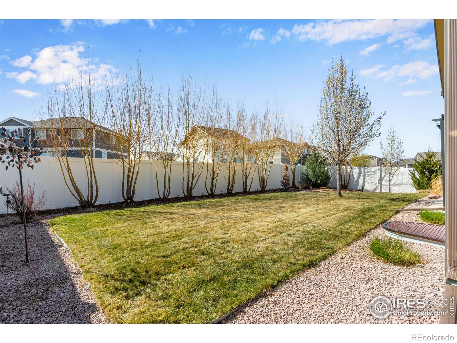MLS Image #5 for 541  el diente avenue,severance, Colorado