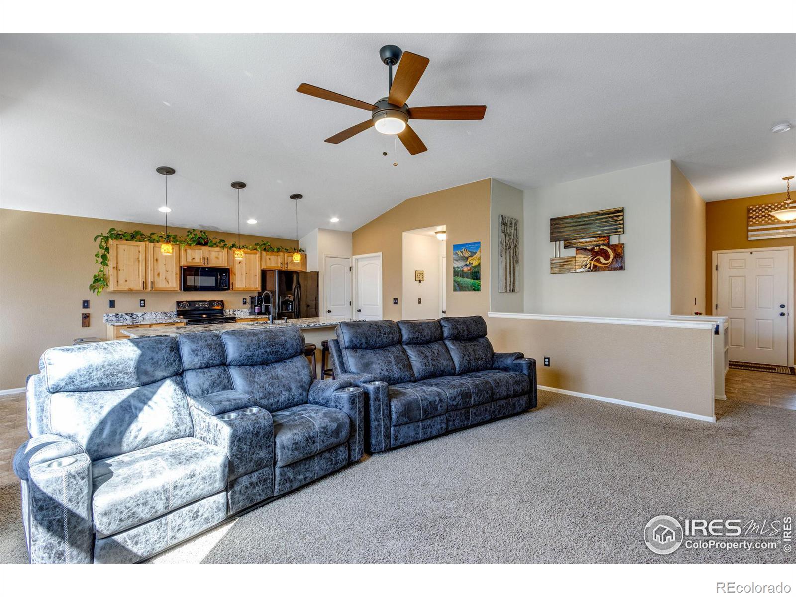 MLS Image #8 for 541  el diente avenue,severance, Colorado
