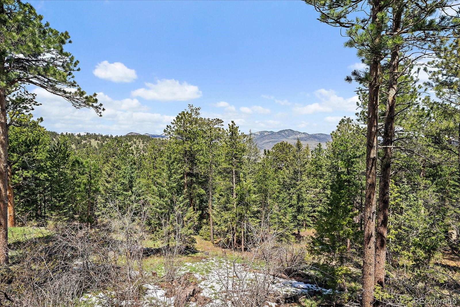 MLS Image #23 for 513  mt blue sky road,golden, Colorado